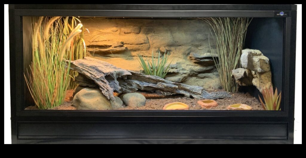 Terrarium Trends Continued Modern Designs for Reptile Habitats 1