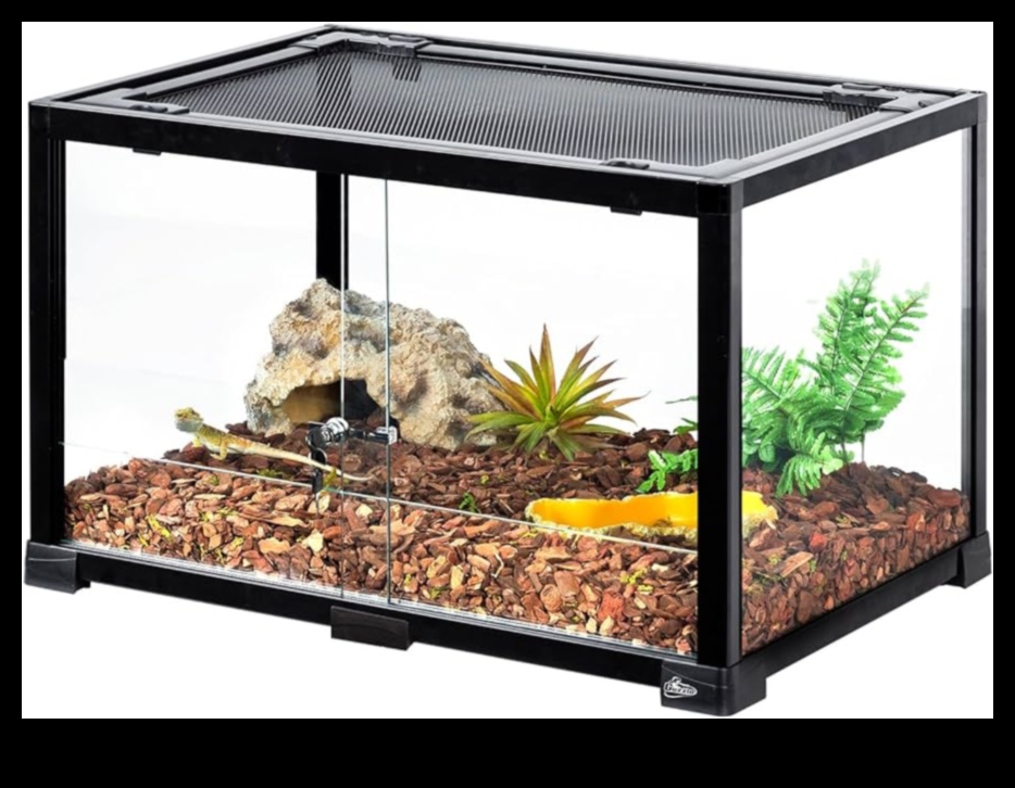 Terrarium Trends Continued: Modern Designs for Reptile Habitats