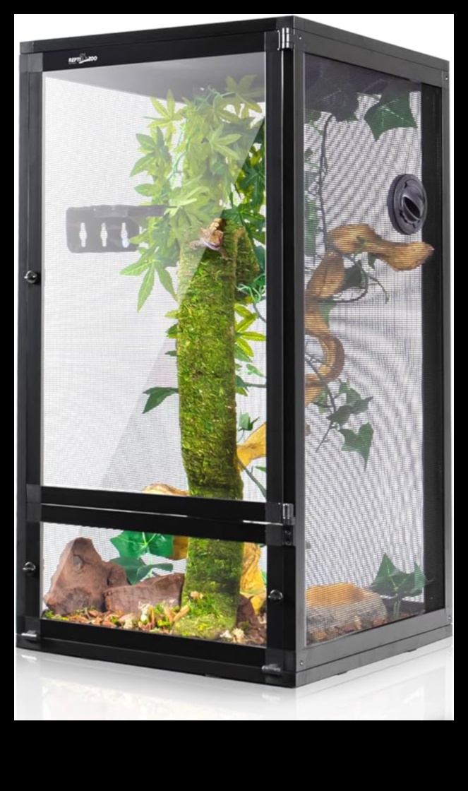 Terrarium Trends Continued: Modern Designs for Reptile Habitats