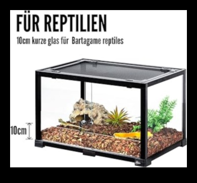 Terrarium Trends Continued: Modern Designs for Reptile Habitats