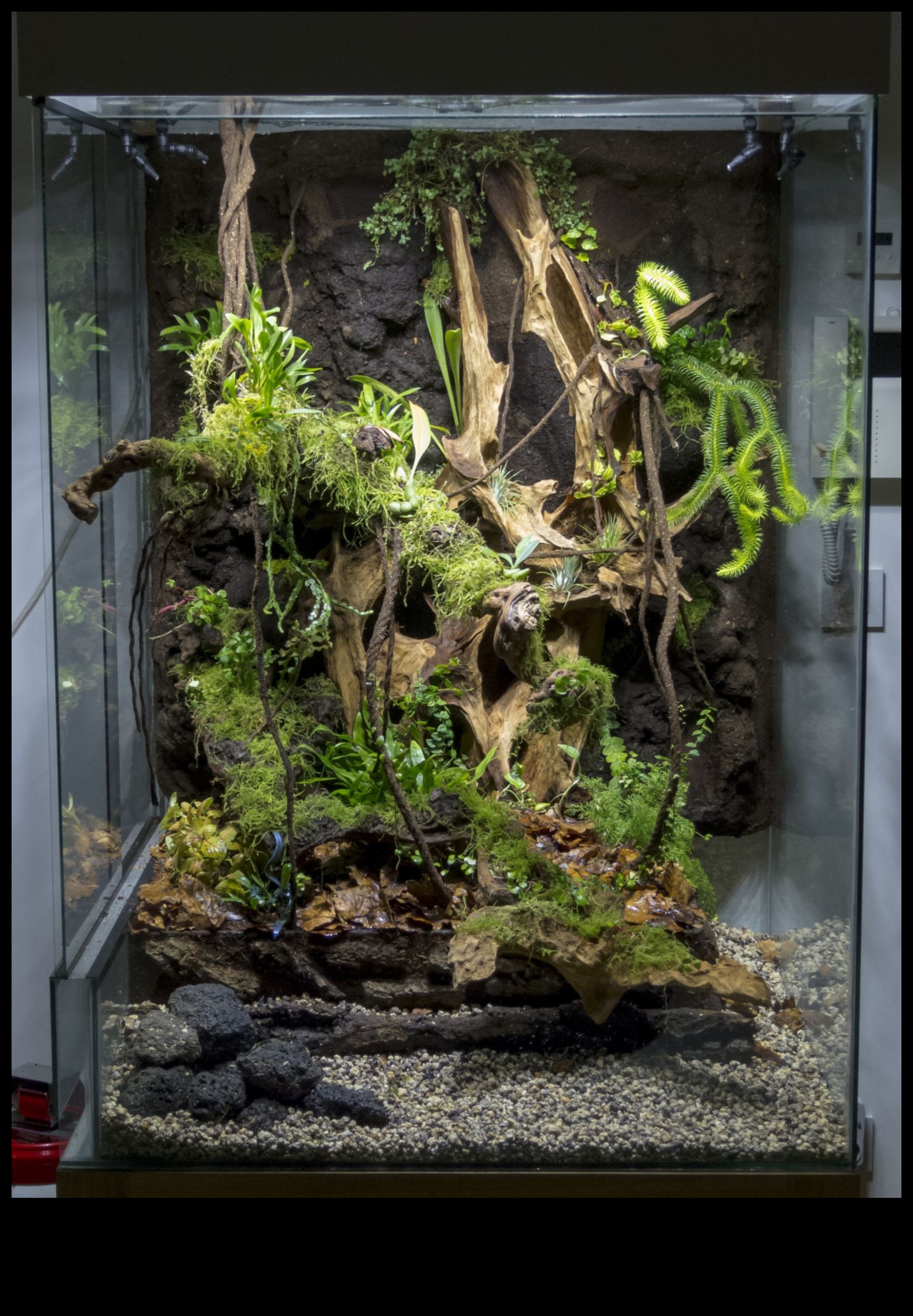 Terrarium Trends: Creative Design Ideas for Reptile Habitats