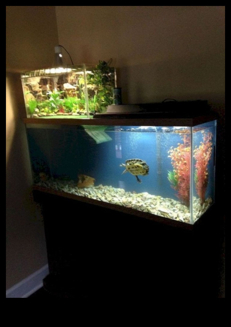 Terrarium Trends: Creative Design Ideas for Reptile Habitats