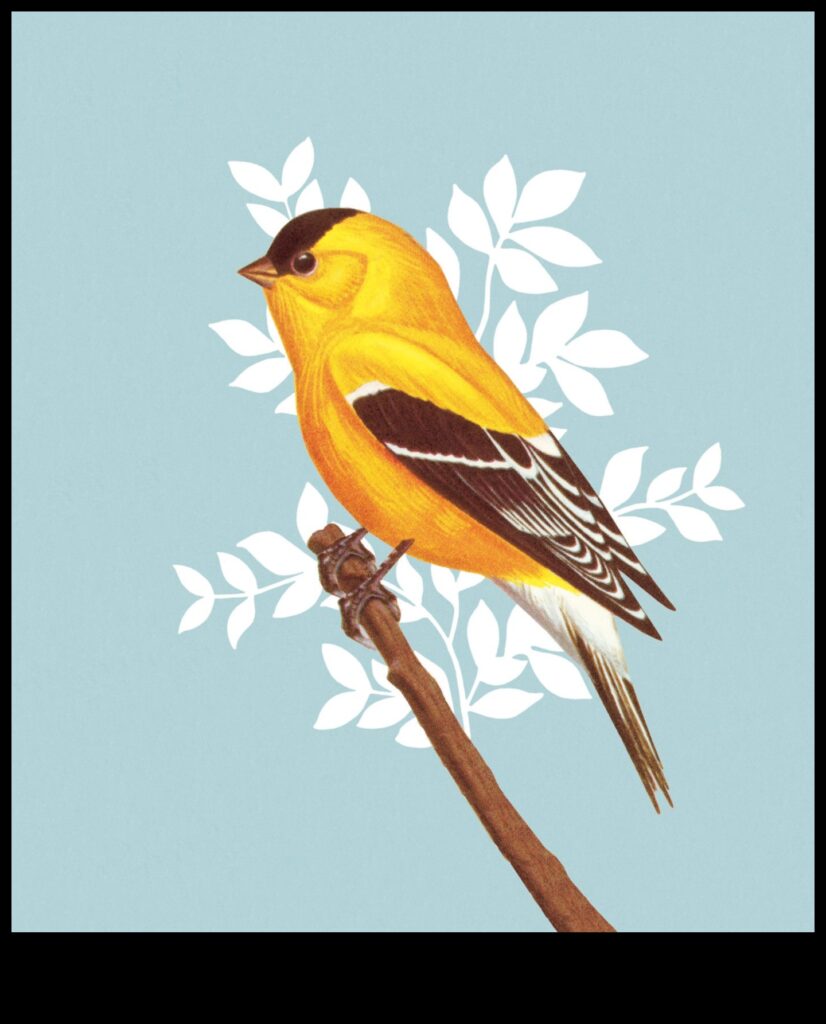 The Art of Bird Language Interpreting Calls and Songs 1