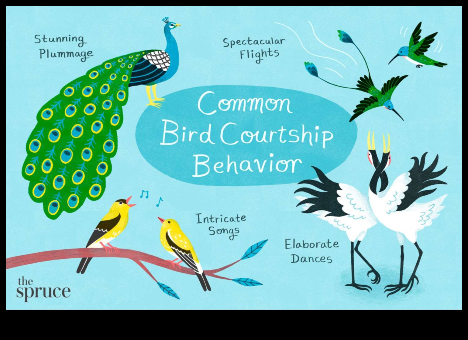 The Art of Egg-laying: Understanding Bird Reproduction