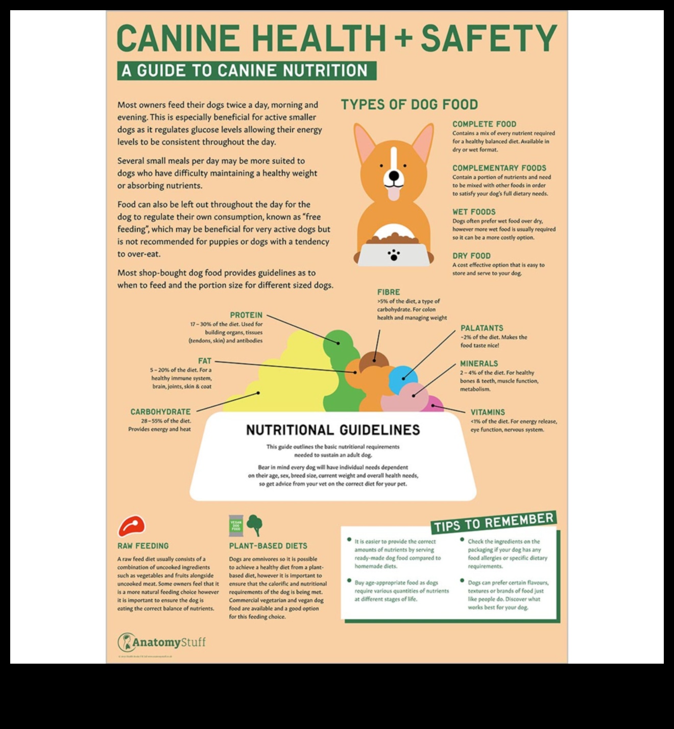 The Art of Feeding: Nutritional Guidelines for Pet Wellness