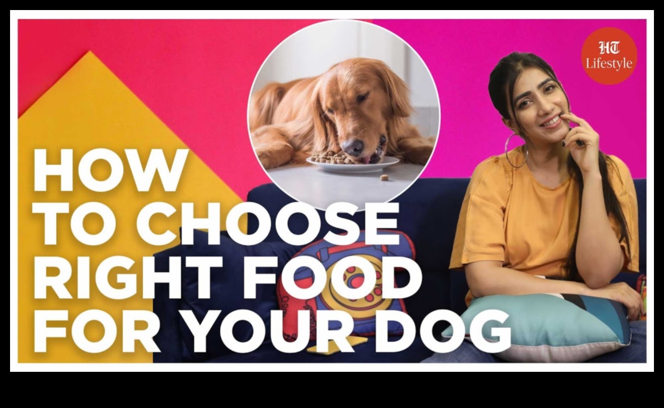 The Art of Feeding: Nutritional Guidelines for Pet Wellness