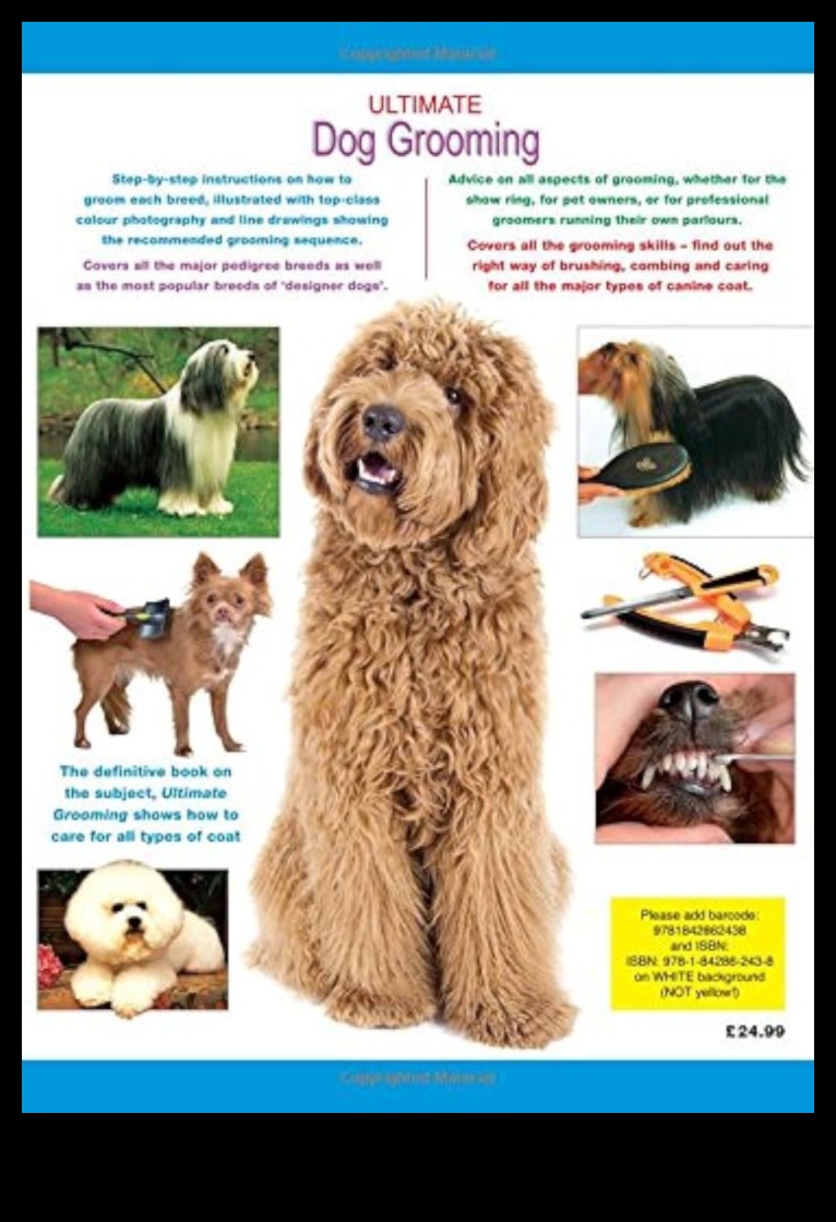 The Art of Grooming: A Stylish Guide to Dog Care