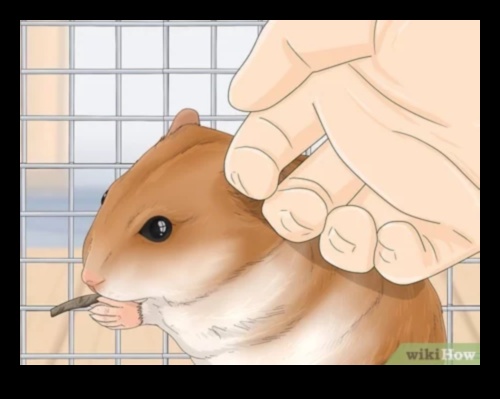 The Art of Hamster Bonding Strengthening Connections with Your Pet 1