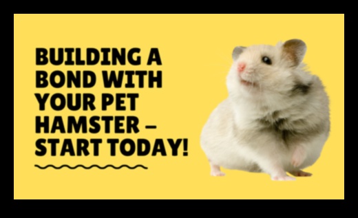 The Art of Hamster Bonding: Strengthening Connections with Your Pet
