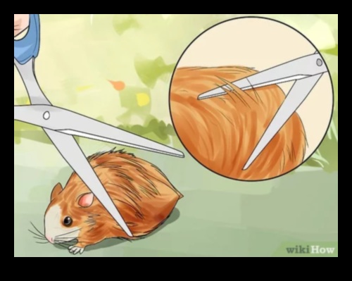 The Art of Hamster Grooming: Tips for Maintaining a Well-Groomed Pet