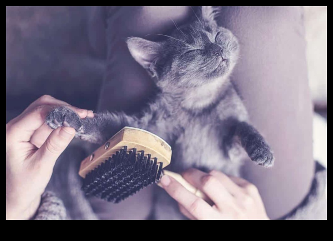 The Benefits of Brushing: Promoting Healthy Coats for Dogs and Cats