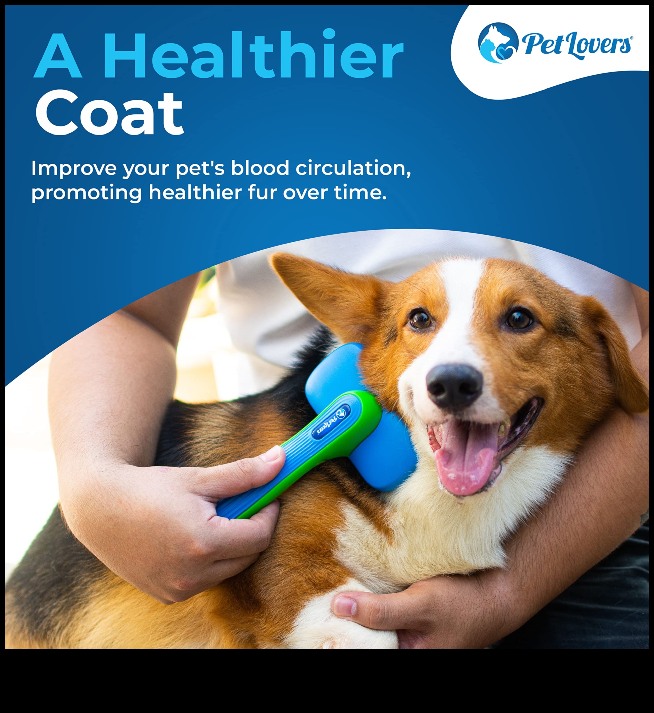 The Benefits of Brushing: Promoting Healthy Coats for Dogs and Cats
