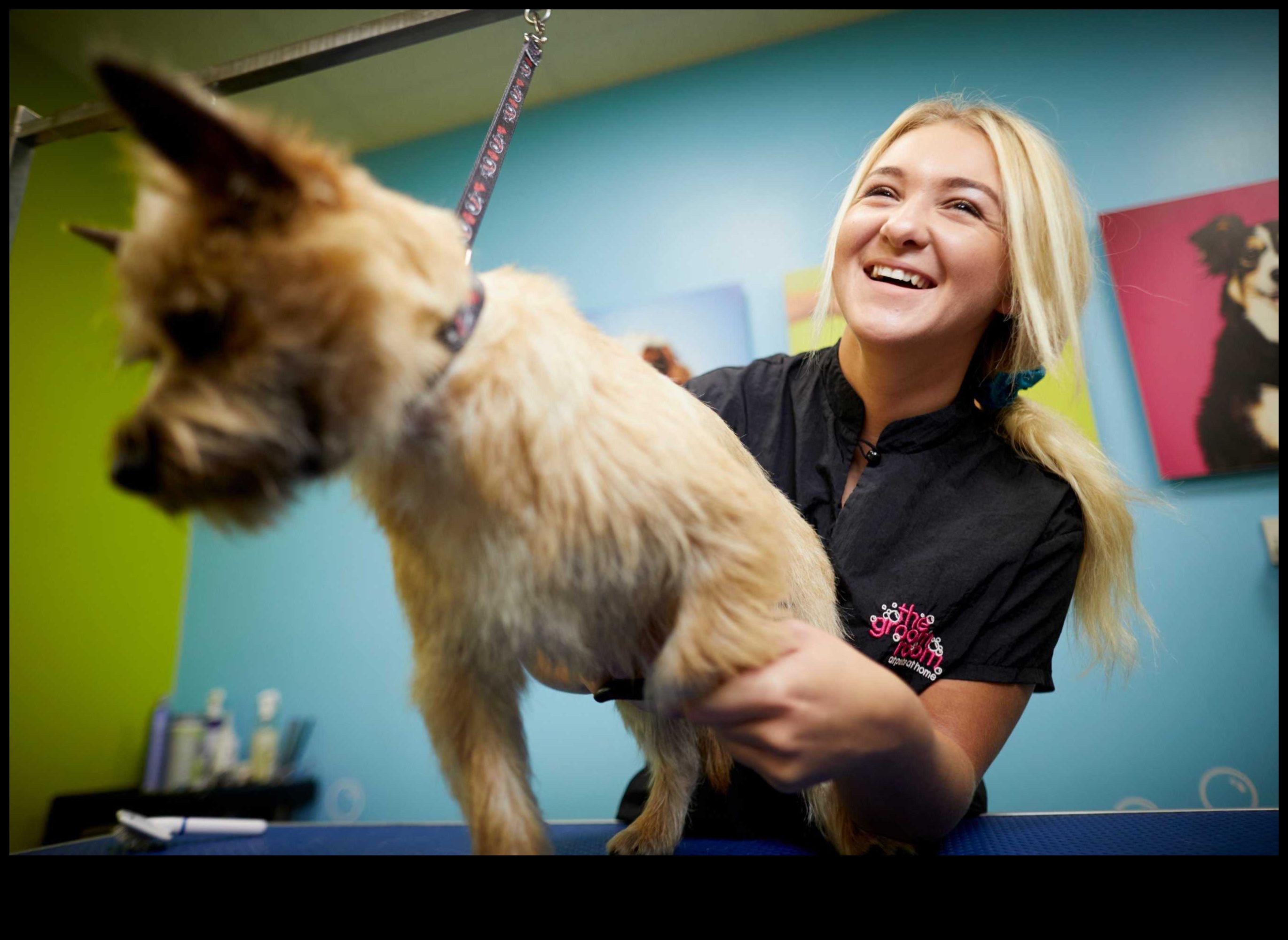 The Benefits of Brushing: Promoting Healthy Coats for Dogs and Cats