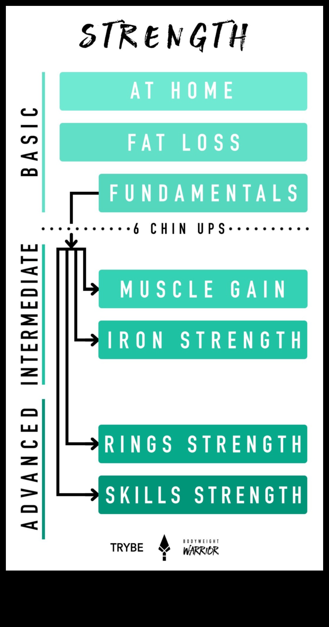 Bodyweight Basics: Foundations for Strength and Mobility