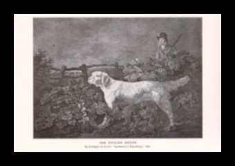 The Canine Chronicles: Documenting Dog History and Evolution