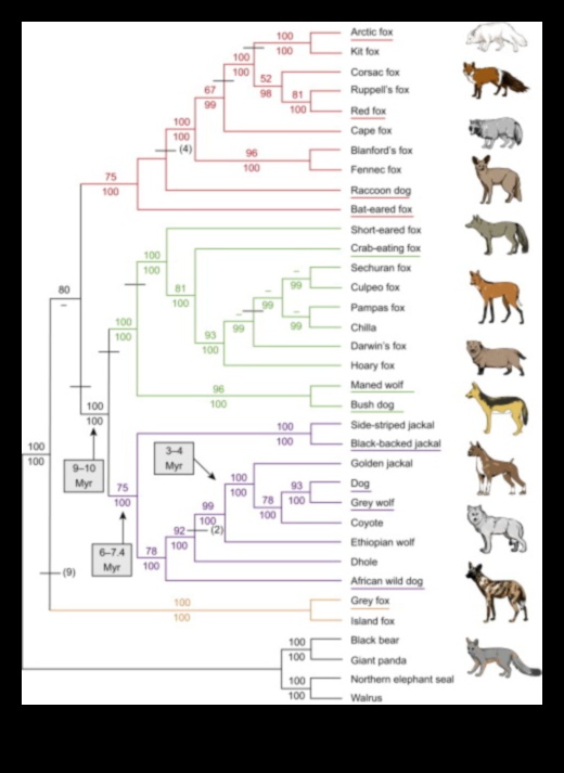 The Canine Chronicles: Documenting Dog History and Evolution