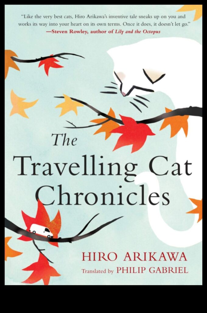 The Cat Chronicles Navigating Different Stages of Cat Life 1