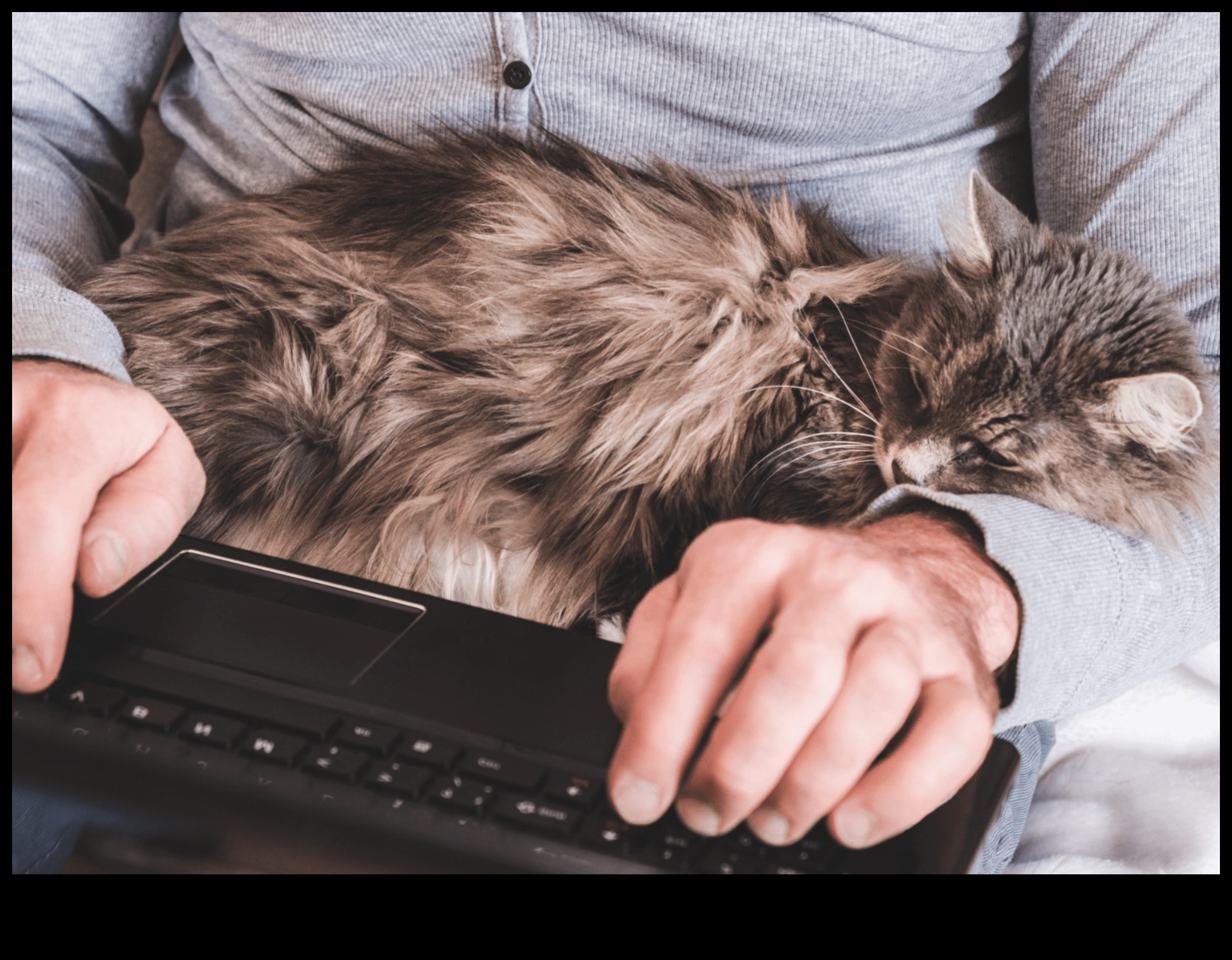 The Cat Connection: Understanding Interspecies Bonds with Your Cat