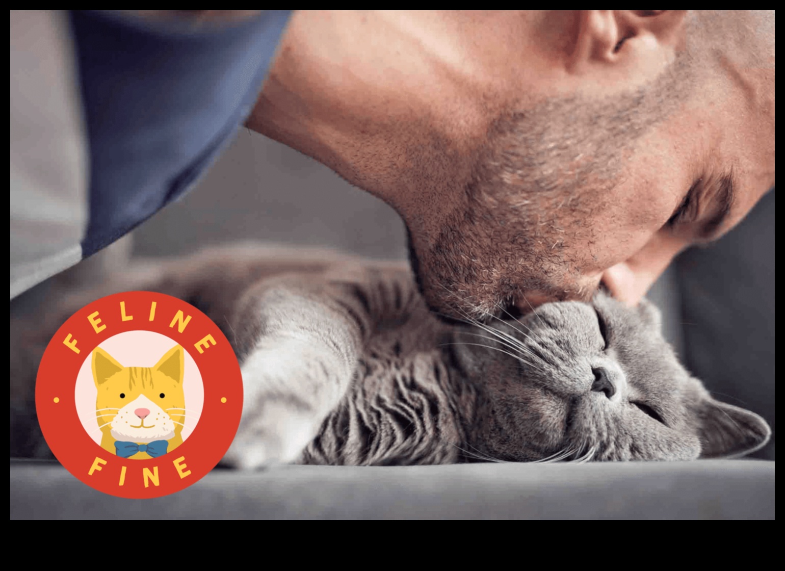 The Cat Connection: Understanding Interspecies Bonds with Your Cat