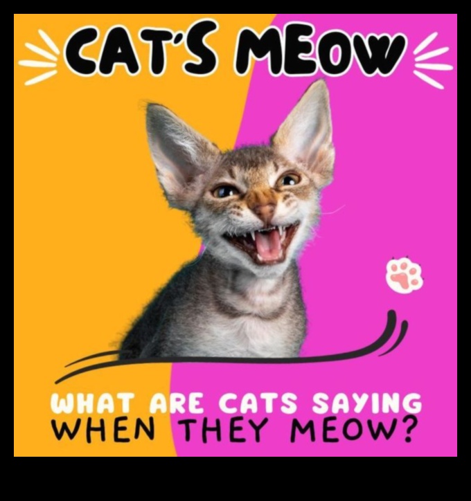 The Cat's Meow: Unveiling the Secrets of Cat Sounds