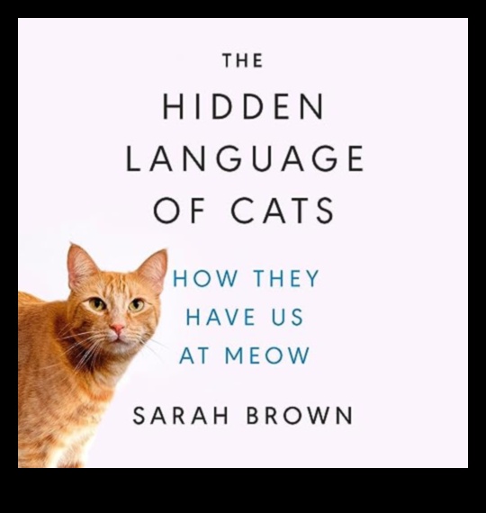 The Cat's Meow: Unveiling the Secrets of Cat Sounds
