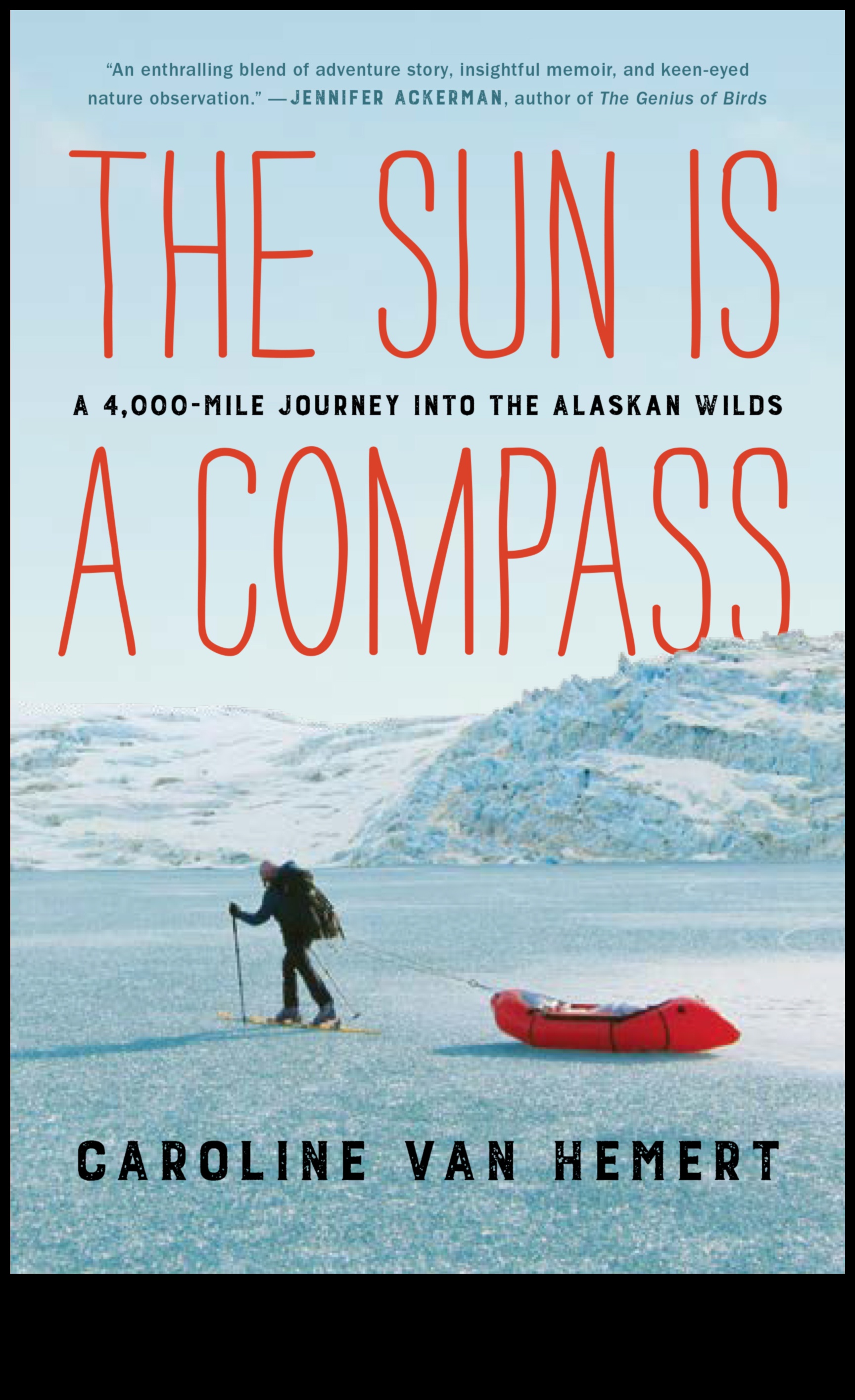 The Compass Chronicle: A Traveler's Quest for Direction