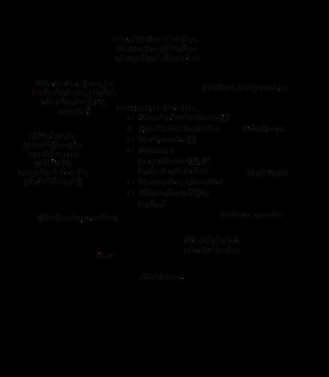 The Couples' Code 7 Lessons from Successful Partnerships 5 Couples' Code: Lessons from Successful Partnerships