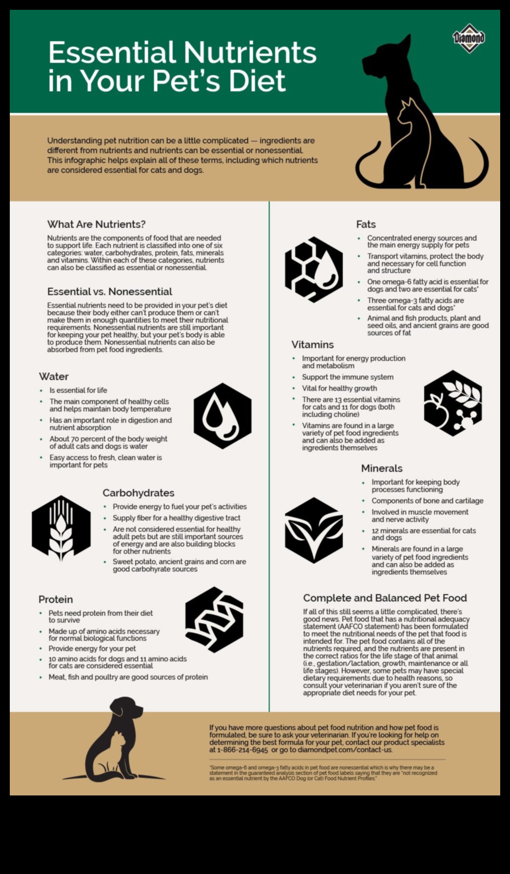 The Doggy Diet: Nutrition Essentials for a Healthy Pup