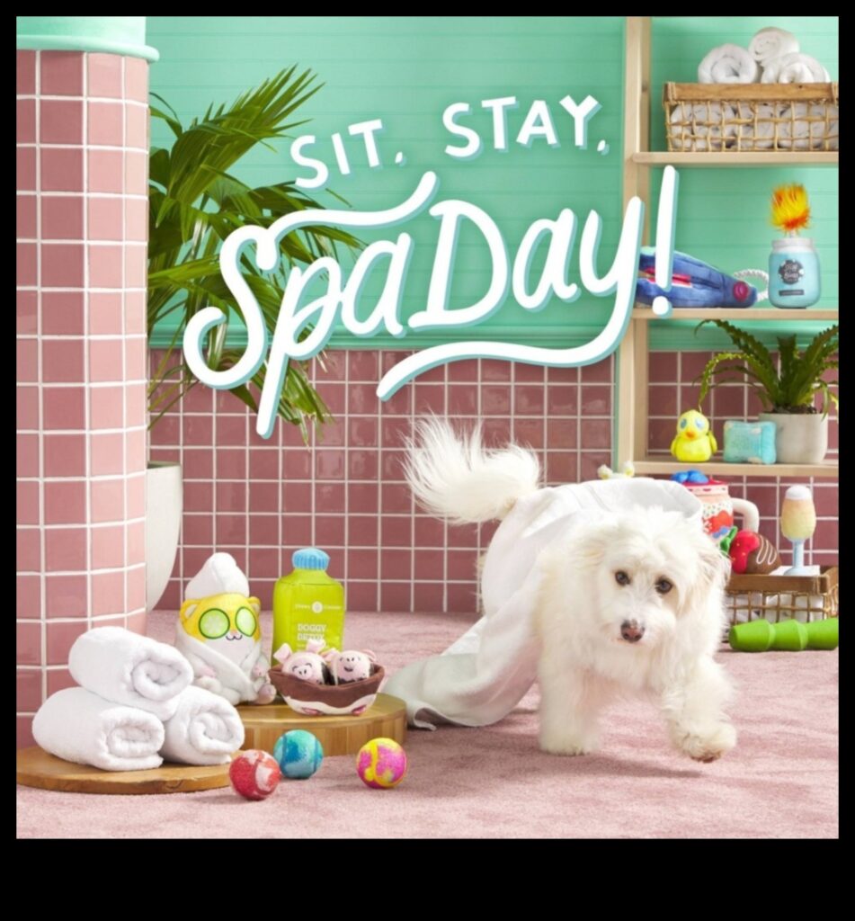 The Hamster Spa Day Grooming and Pampering for Your Pet 1