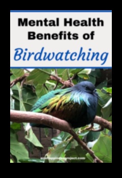 The Healing Power of Bird Watching Therapeutic Benefits 1