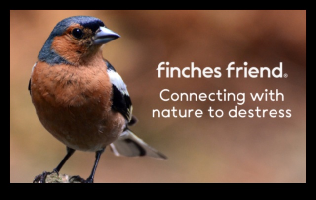 The Healing Power of Bird Watching: Therapeutic Benefits