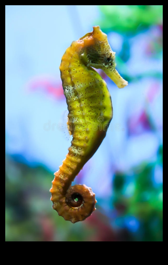 The Intricate World of Seahorses: Unveiling the Secrets of These Unique Fish