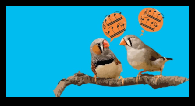 The Language of Birds 2.0 Unlocking New Discoveries in Avian Communication 1