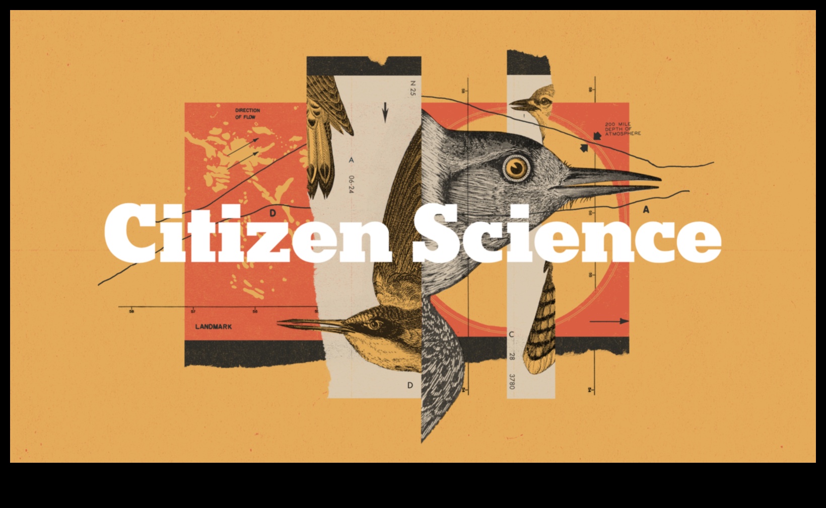 The Language of Birds 2.0: Unlocking New Discoveries in Avian Communication