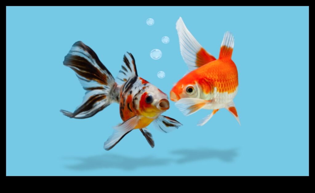 The Language of Fish Understanding Communication in Schools 1