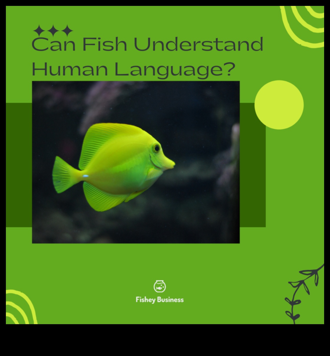 The Language of Fish: Understanding Communication in Schools