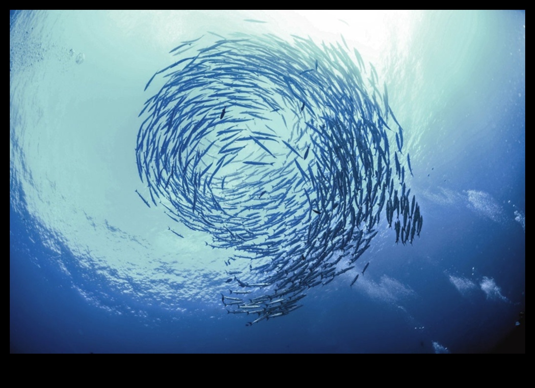 The Language of Fish: Understanding Communication in Schools