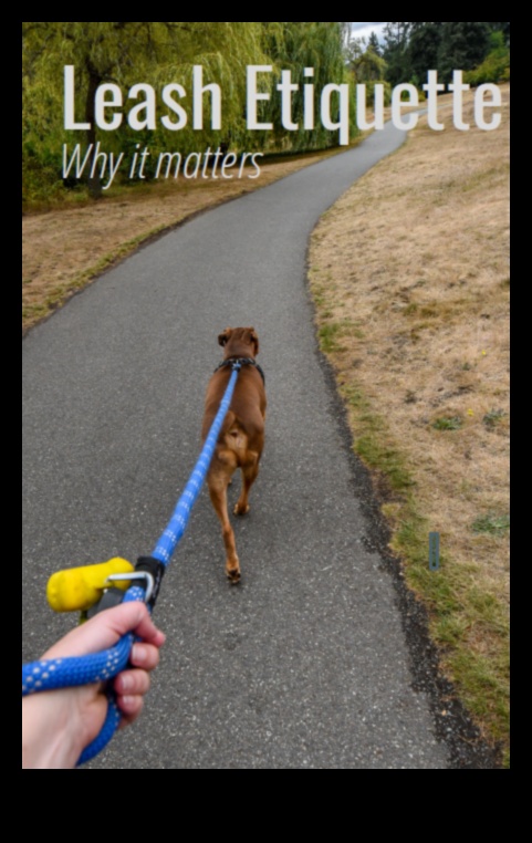 The Language of Leashes: Understanding Dog Walking Etiquette