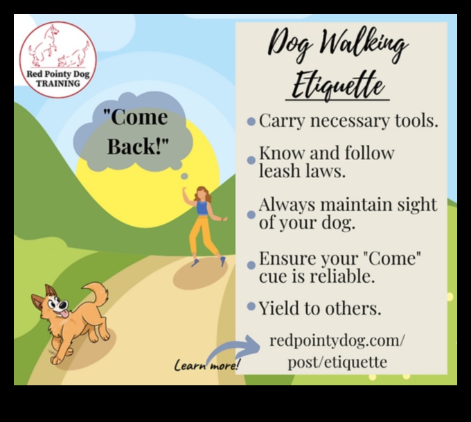 The Language of Leashes: Understanding Dog Walking Etiquette