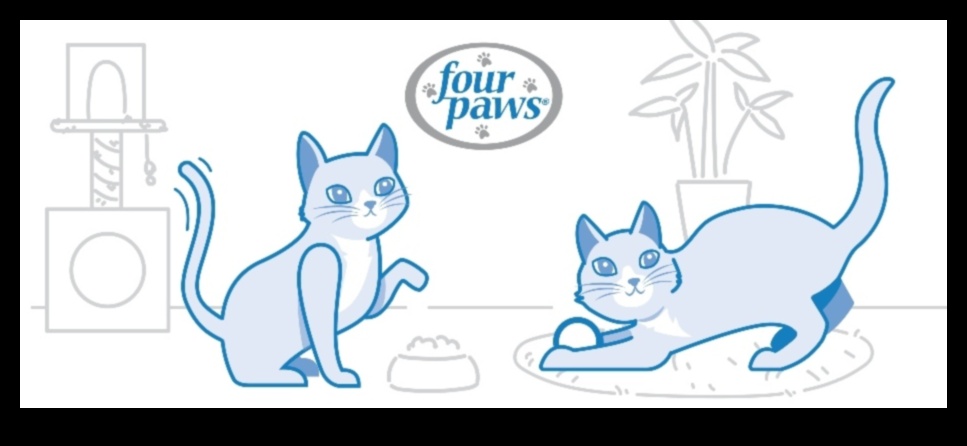 The Language of Litter Continued: Decoding Cat Bathroom Behaviors