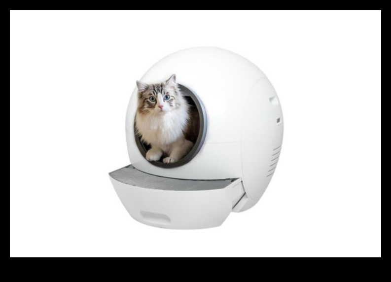 The Litter Box Lowdown: Cat Hygiene and Maintenance