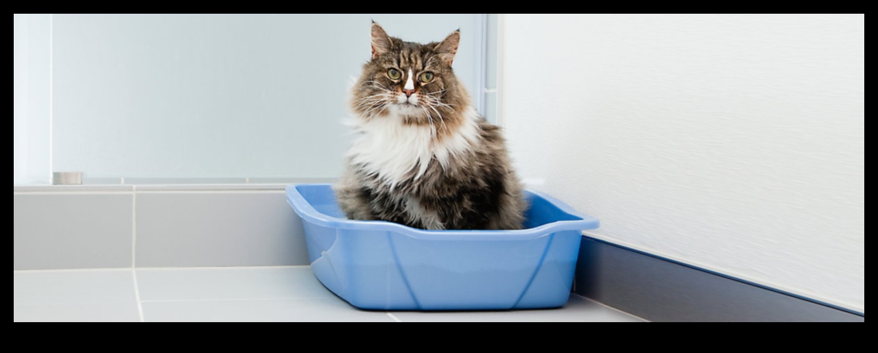 The Litter Box Lowdown: Tips for Maintaining a Clean Cat Bathroom