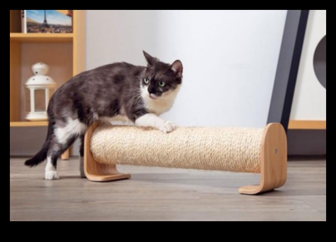 The Paw-fect Scratching Post DIY Solutions for Cat Claw Maintenance 1