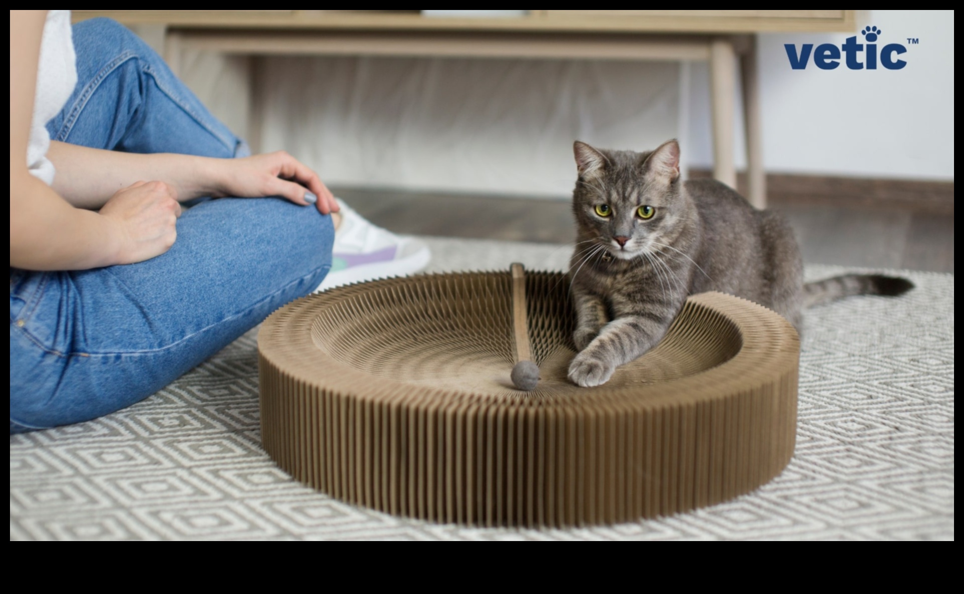 The Paw-fect Scratching Post: DIY Solutions for Cat Claw Maintenance
