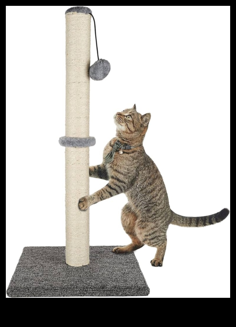 The Paw-fect Scratching Post: DIY Solutions for Cat Claw Maintenance