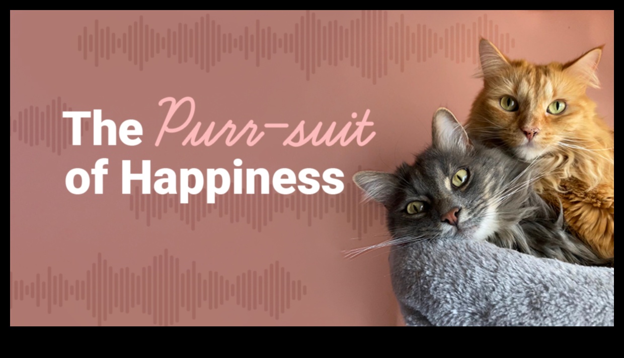 The Purr-suit of Happiness: Ensuring Your Cat's Well-Being