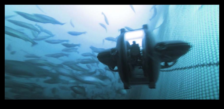 The Rise of the Robots Technology in Modern Fishing 1