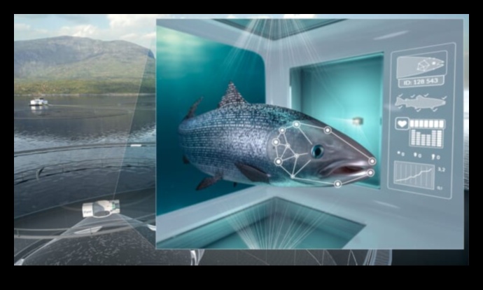 The Rise of the Robots: Technology in Modern Fishing