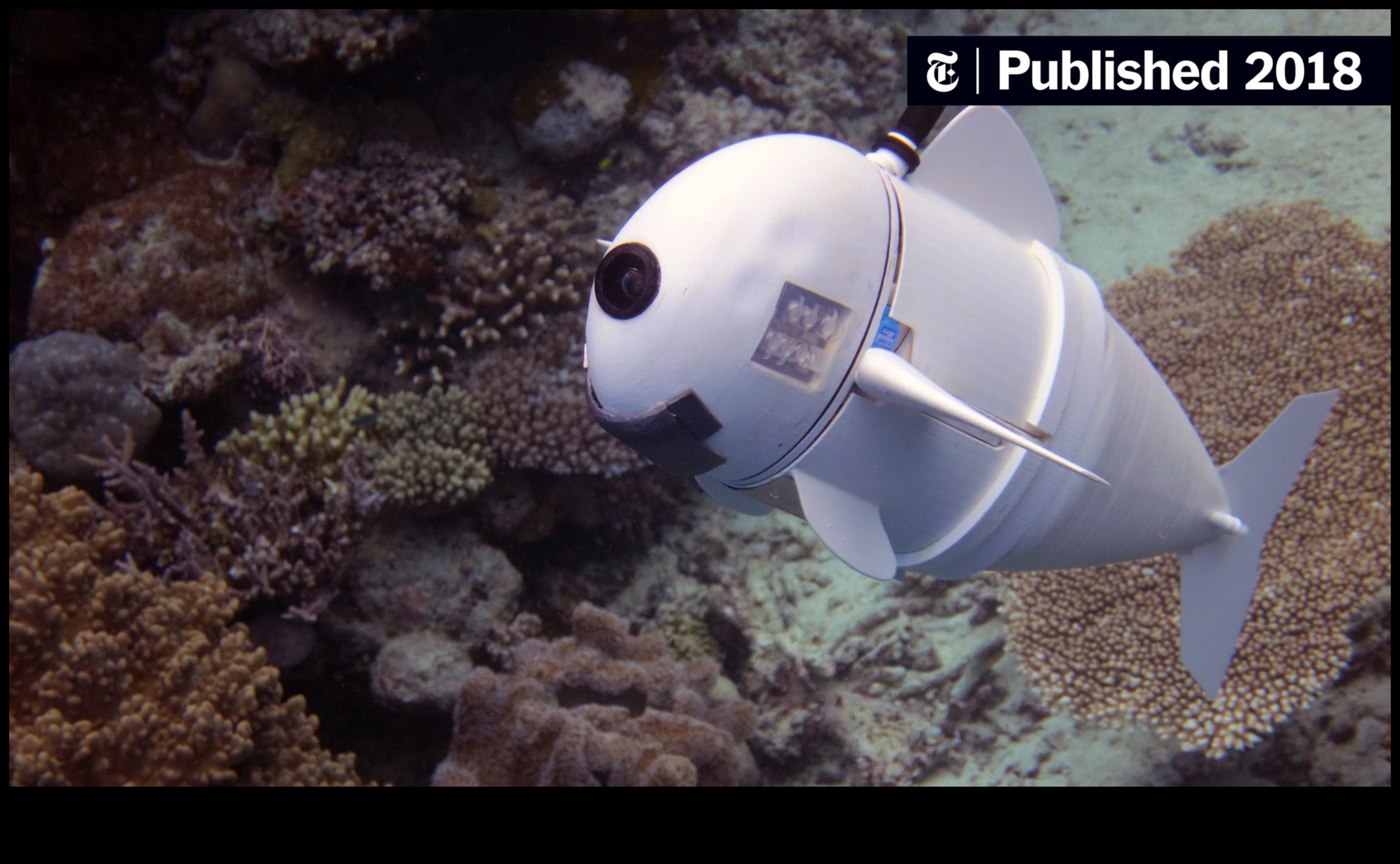 The Rise of the Robots: Technology in Modern Fishing