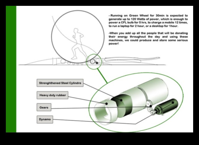 The Science of Hamster Running Understanding Exercise and Energy 1